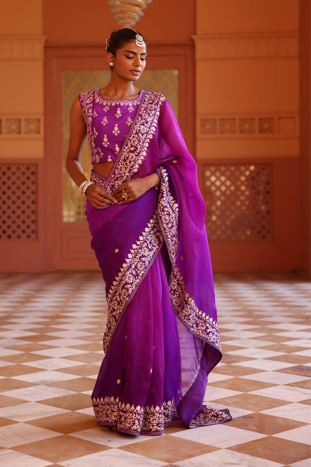 Organza Saree with Aari, Sequins work.
