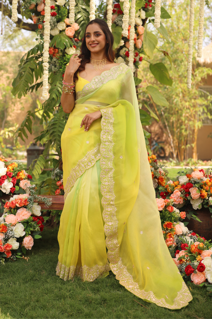 Organza Saree with Aari work.