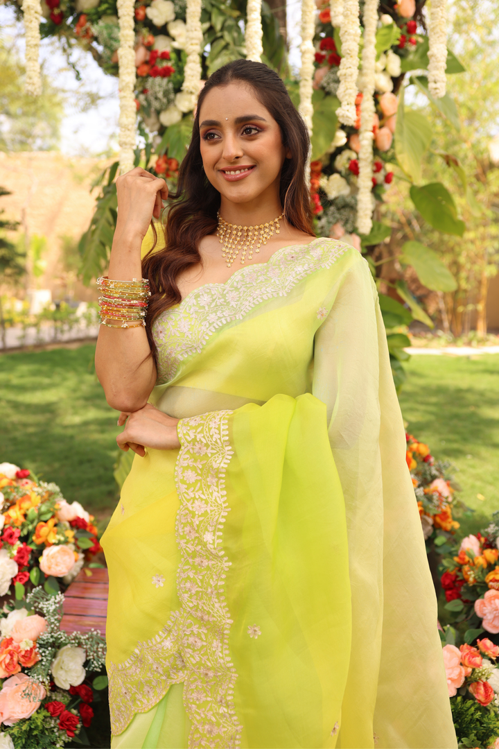 Organza Saree with Aari work.
