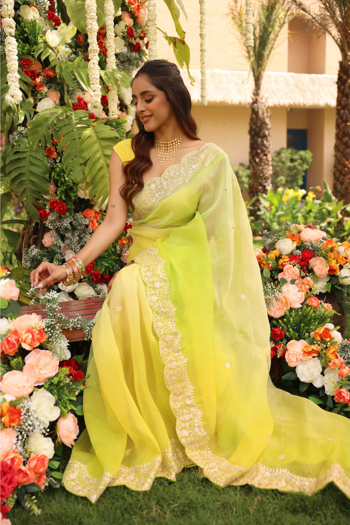 Organza Saree with Aari work.