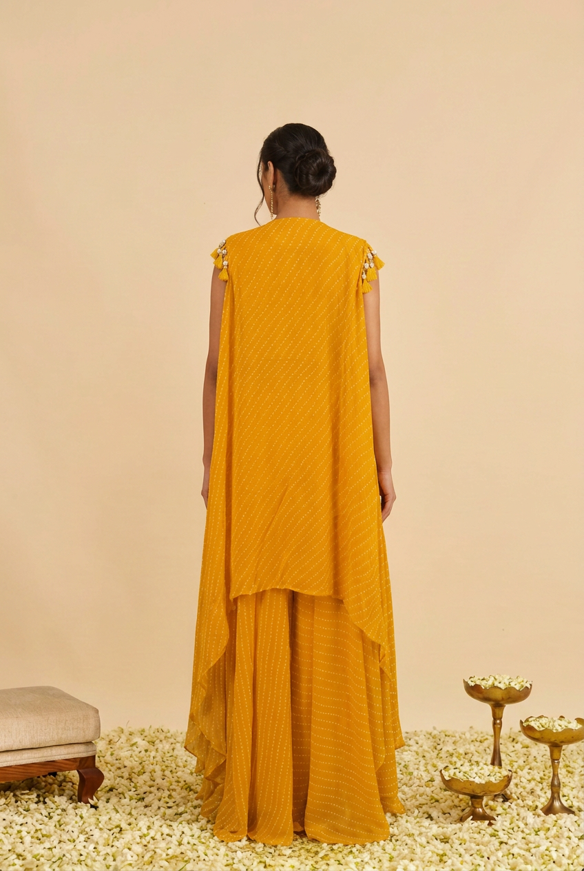 Georgette Indowestern with Gota, Mothra work.