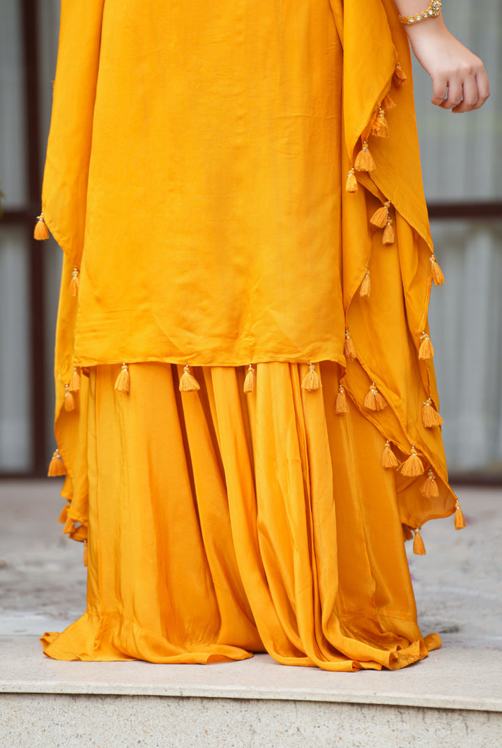 Organza Silk Indowestern