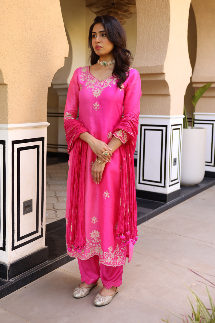 Organza Suit Set with Aari work.
