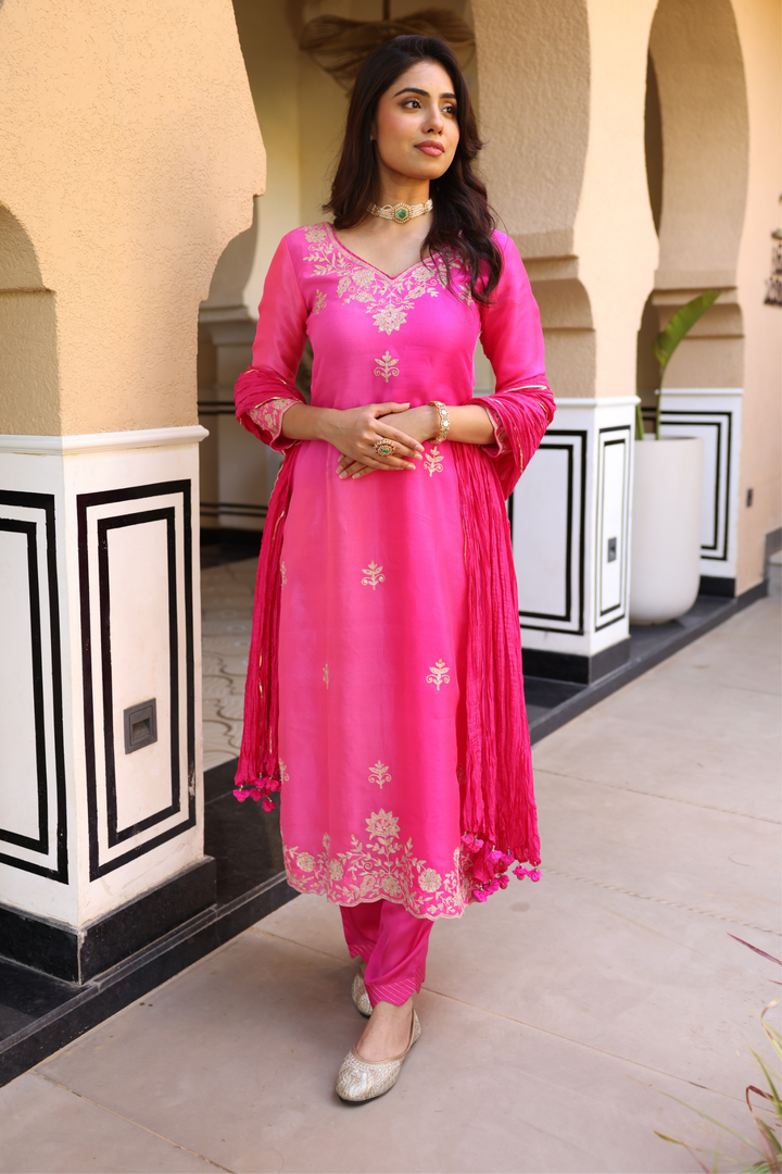 Organza Suit Set with Aari work.
