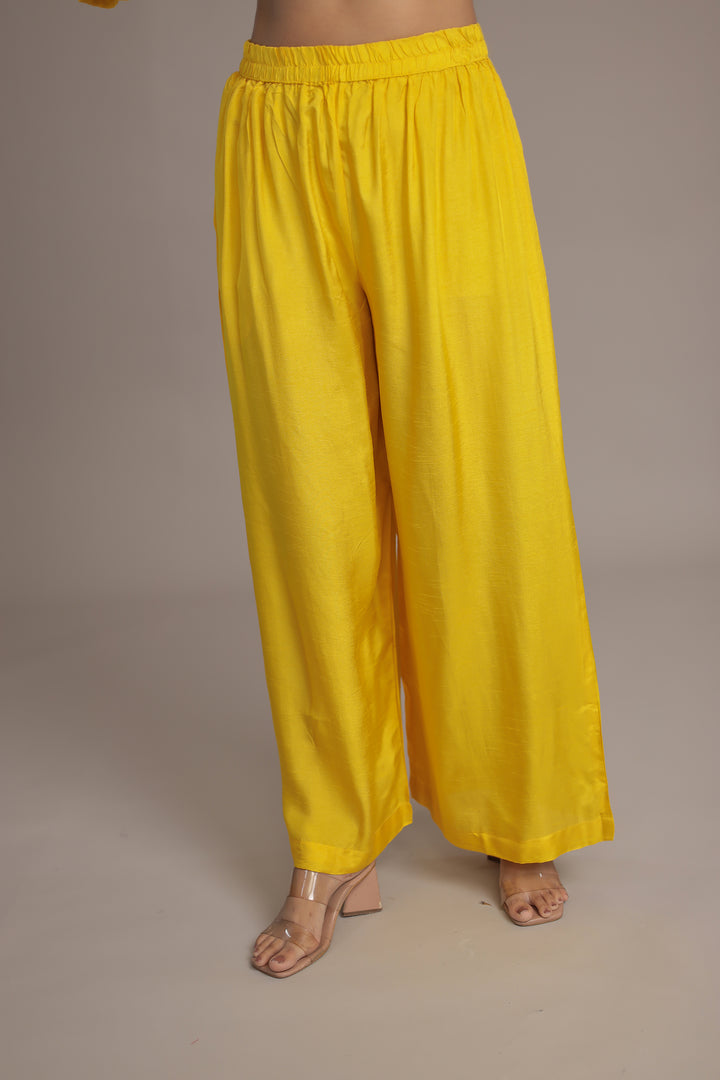 Anarkali Russian Silk Suit with Sequins and Thread work