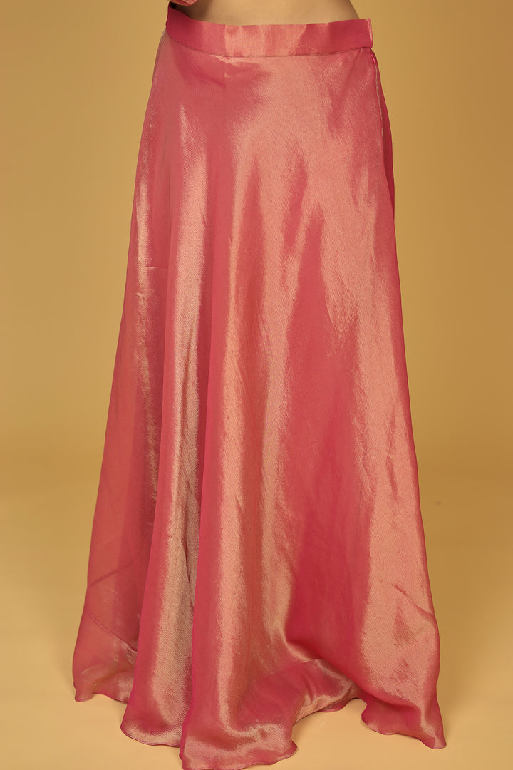 Shimmer Tissue Indo Western (3Pc) with Dori, Sequins and Thread work