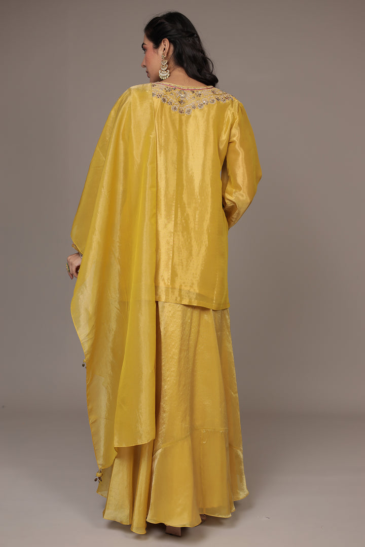 Shimmer Tissue Indo Western (3Pc) with Dori, Sequins and Thread work