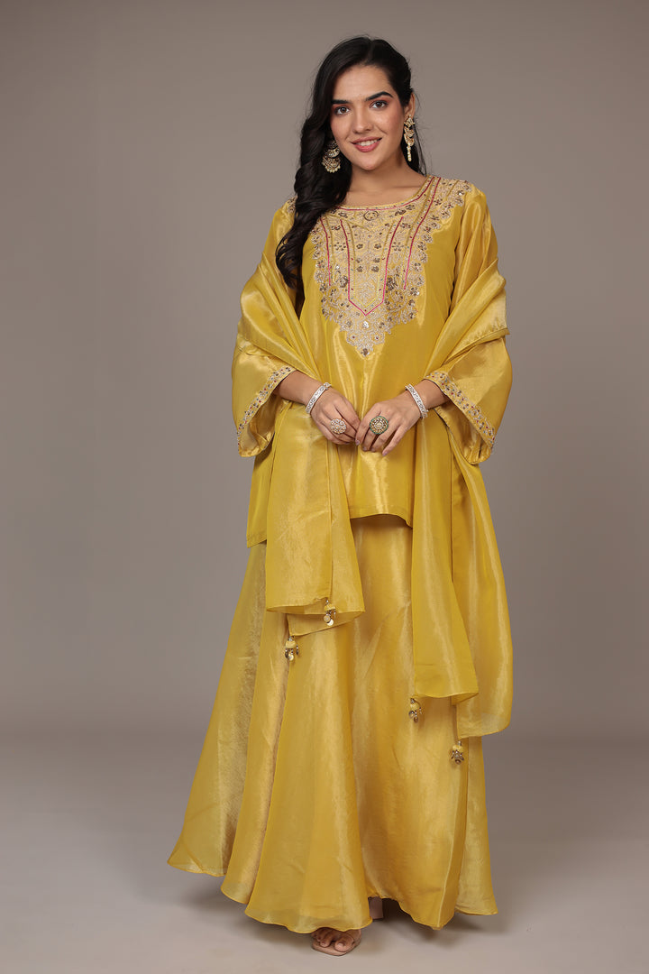 Shimmer Tissue Indo Western (3Pc) with Dori, Sequins and Thread work