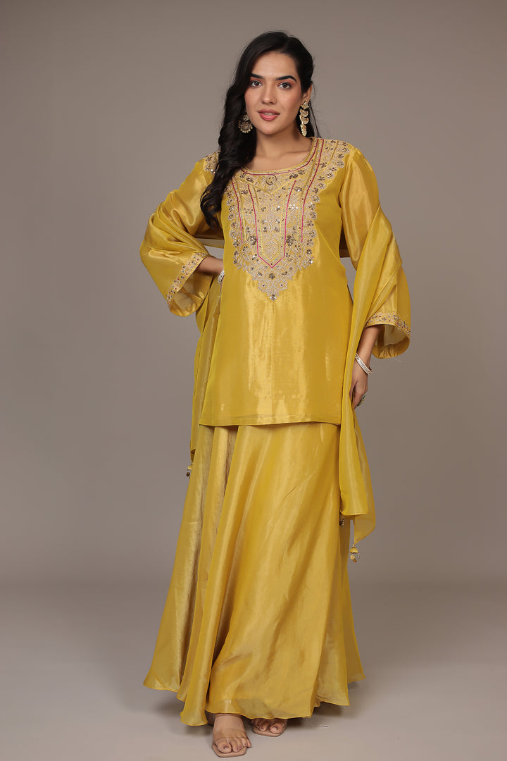 Shimmer Tissue Indo Western (3Pc) with Dori, Sequins and Thread work