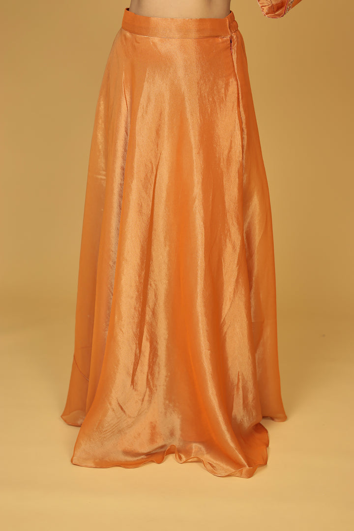 Shimmer Tissue Indo Western (3Pc) with Dori, Sequins and Thread work