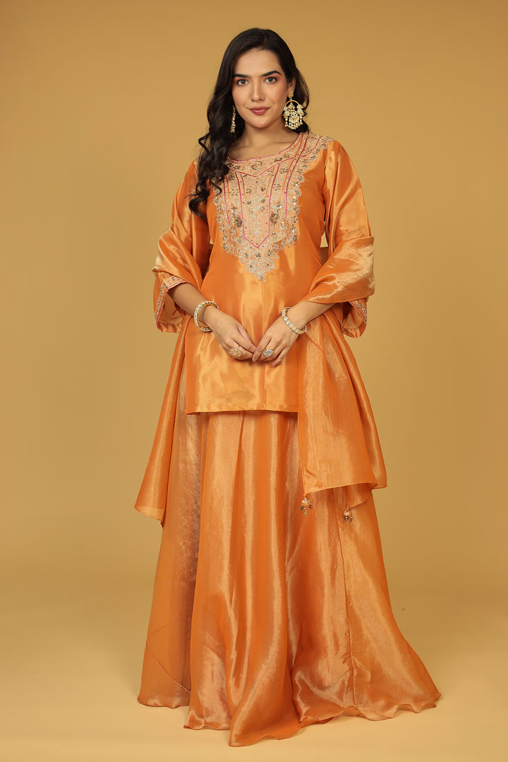 Shimmer Tissue Indo Western (3Pc) with Dori, Sequins and Thread work