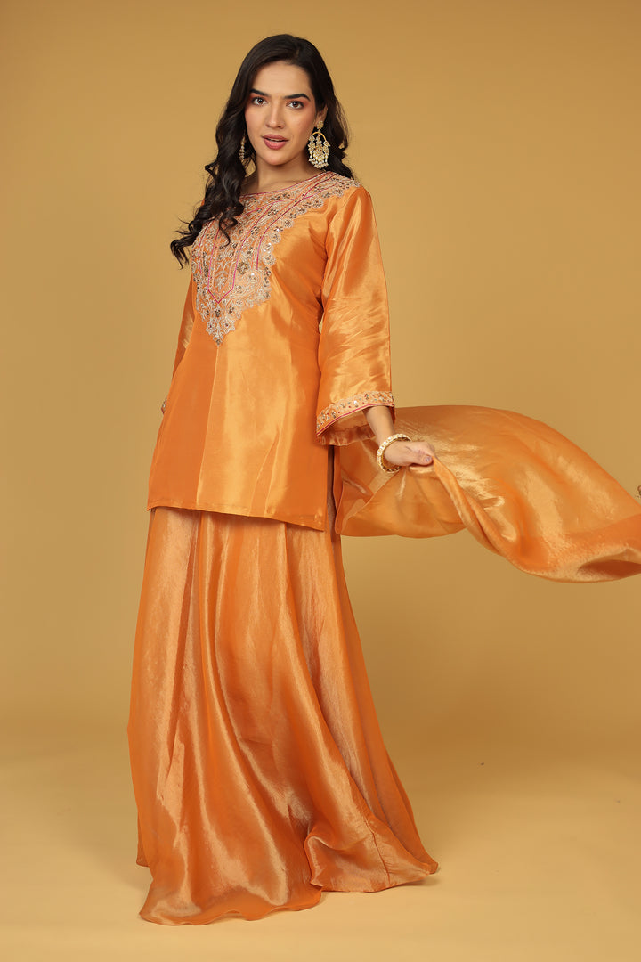 Shimmer Tissue Indo Western (3Pc) with Dori, Sequins and Thread work