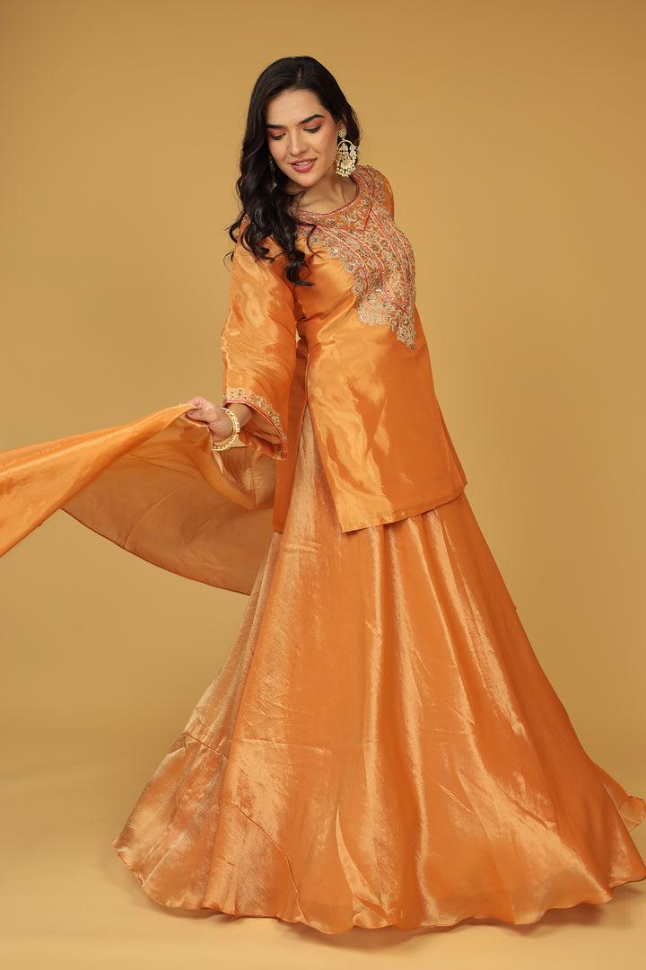 Shimmer Tissue Indo Western (3Pc) with Dori, Sequins and Thread work