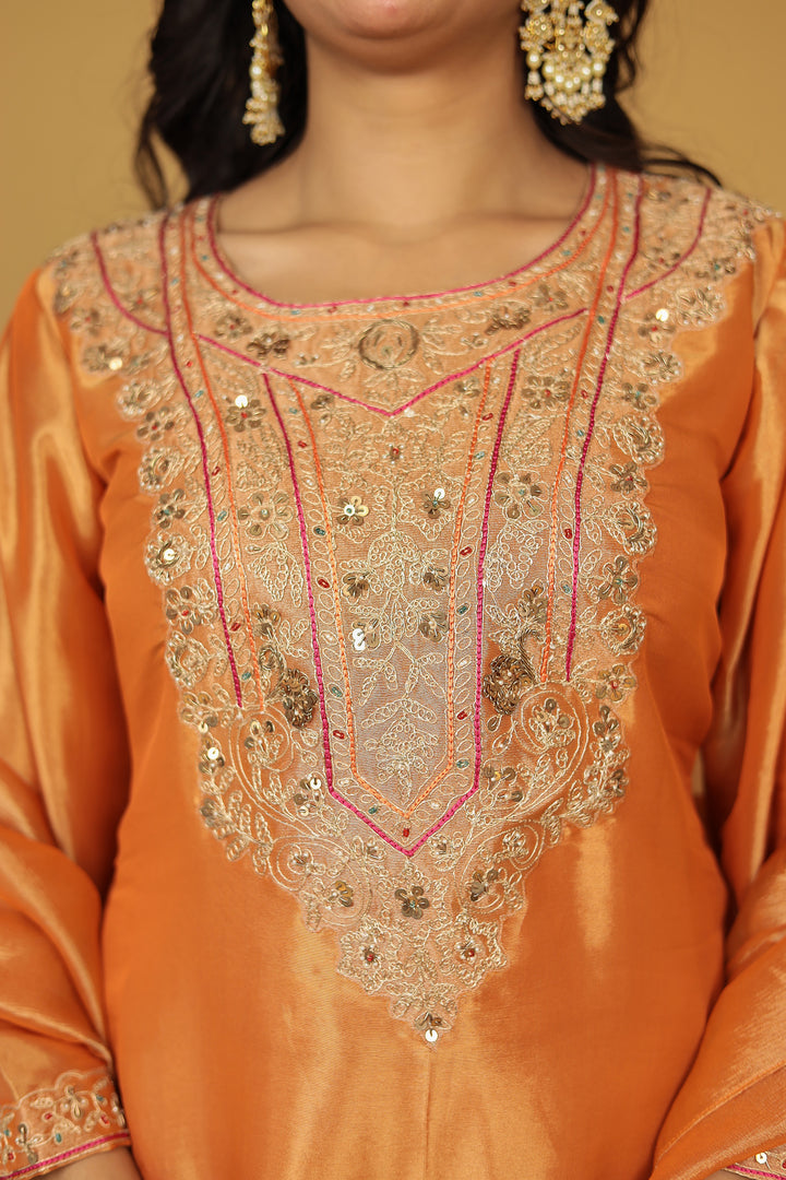 Shimmer Tissue Indo Western (3Pc) with Dori, Sequins and Thread work