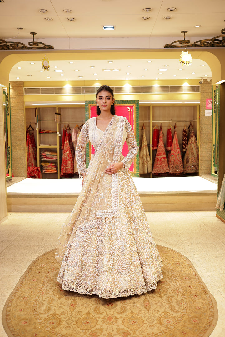 Net Lehenga with Cutdana, Sequins and Thread work