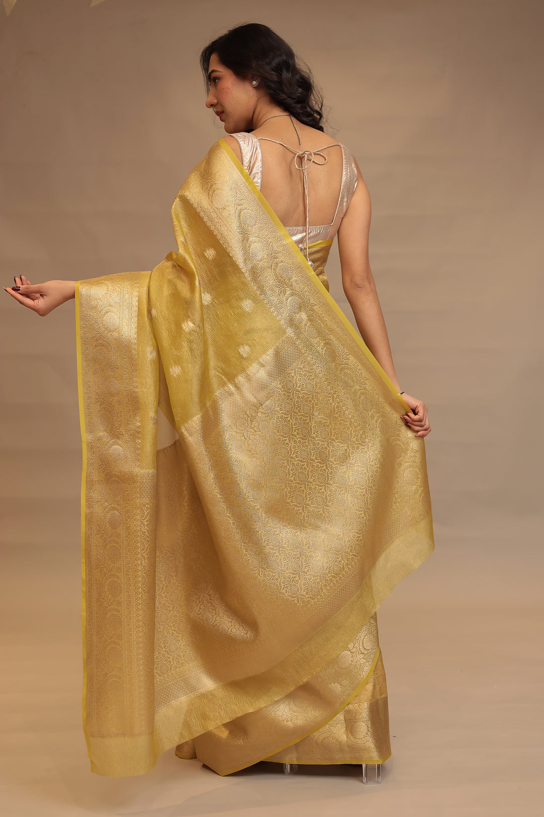 Banarasi Tissue Saree