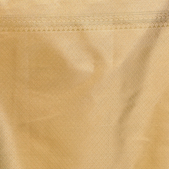 Banarasi Tissue Saree