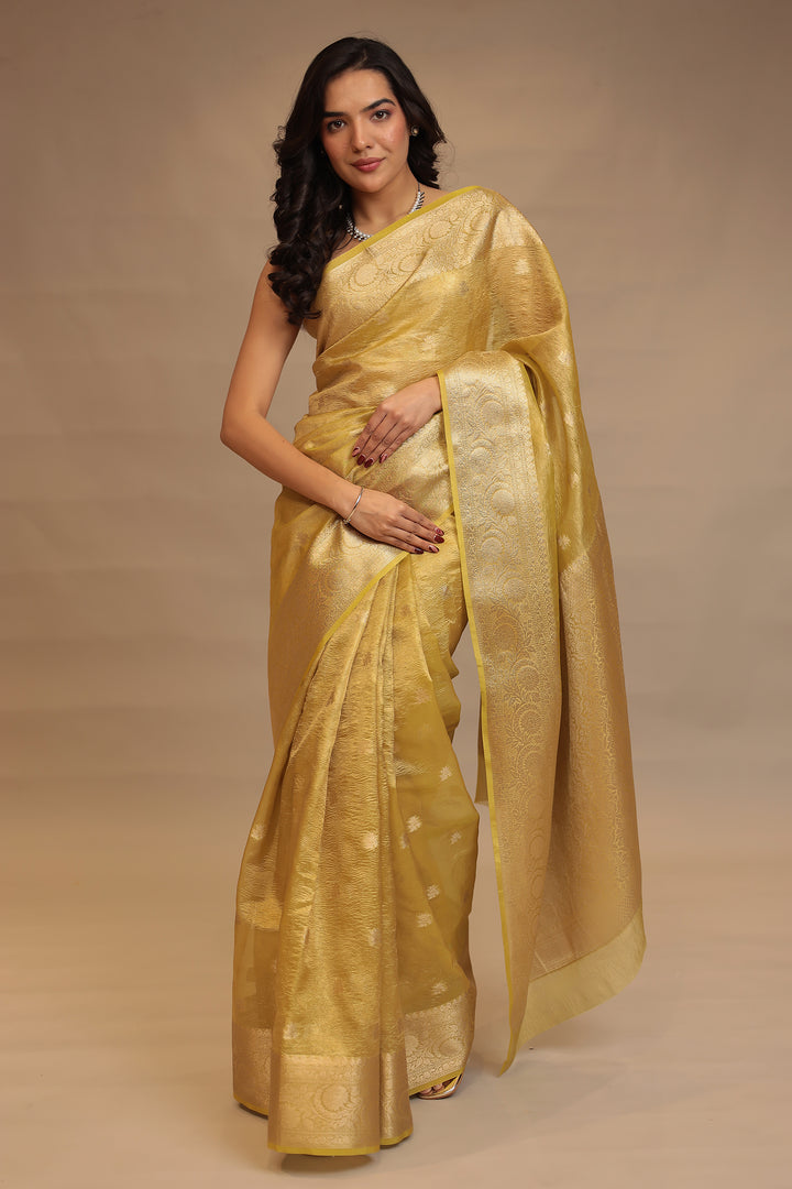 Banarasi Tissue Saree