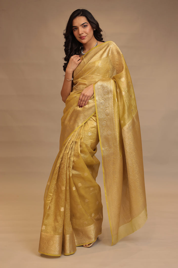 Banarasi Tissue Saree
