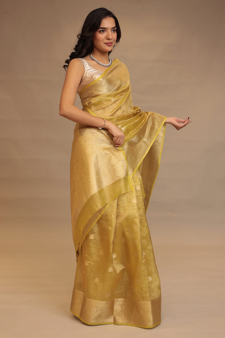 Banarasi Tissue Saree