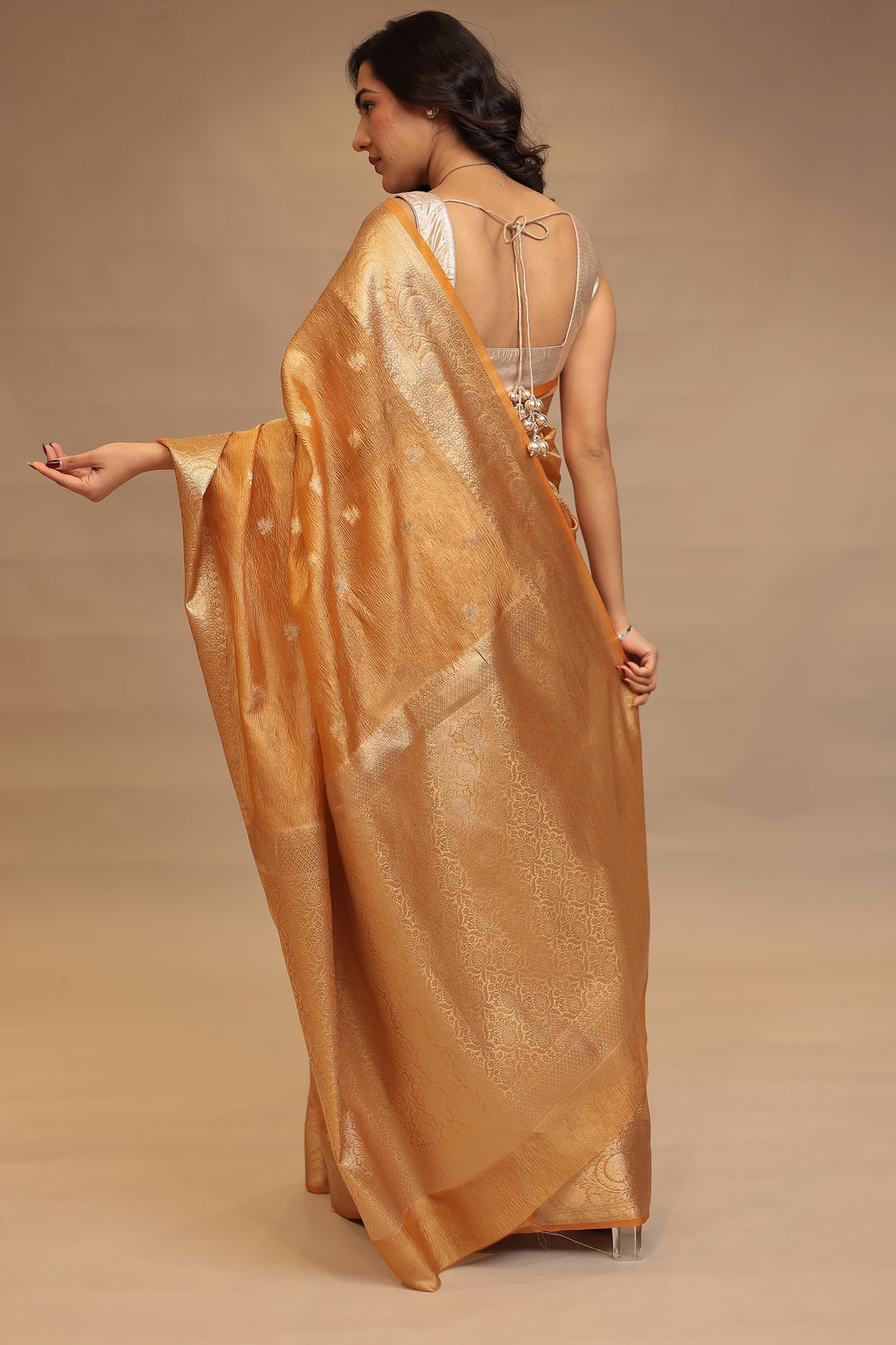 Banarasi Tissue Saree