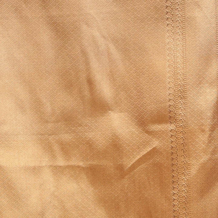 Banarasi Tissue Saree