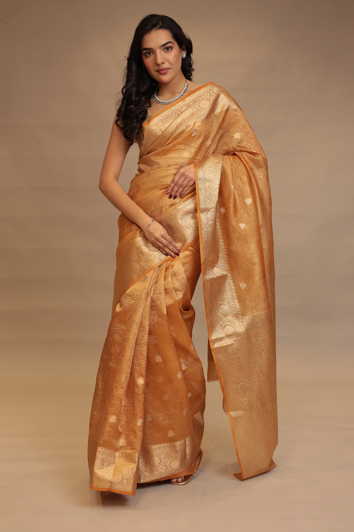 Banarasi Tissue Saree