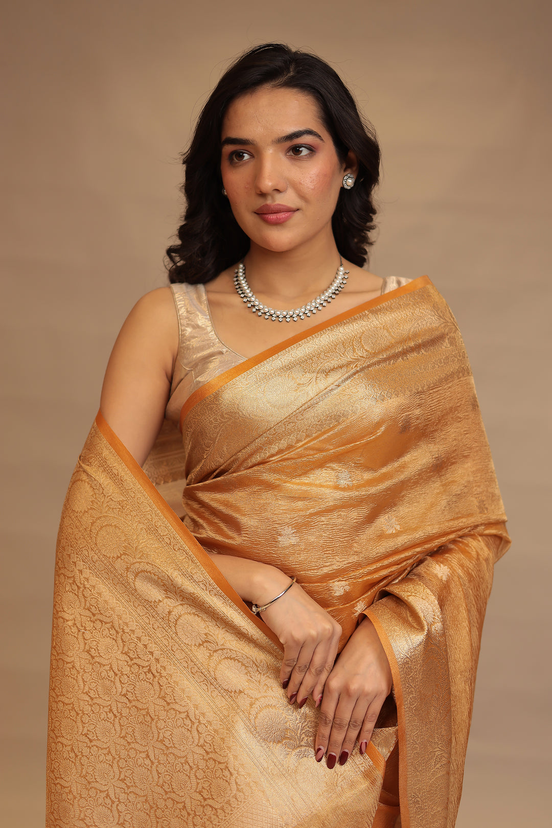 Banarasi Tissue Saree