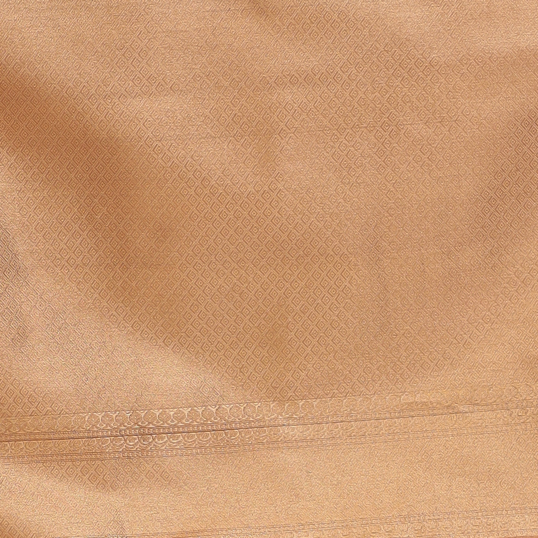 Banarasi Tissue Saree