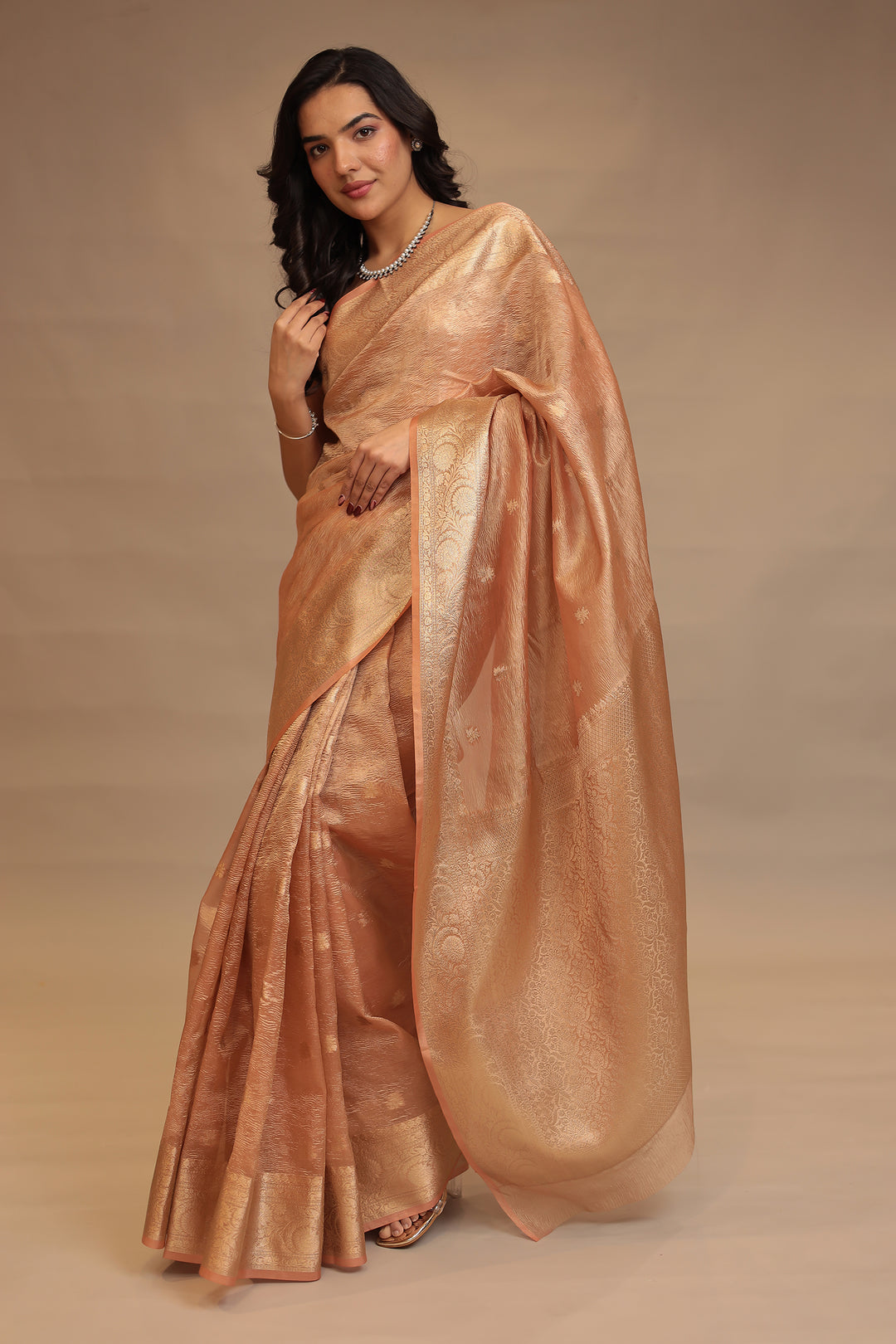 Banarasi Tissue Saree