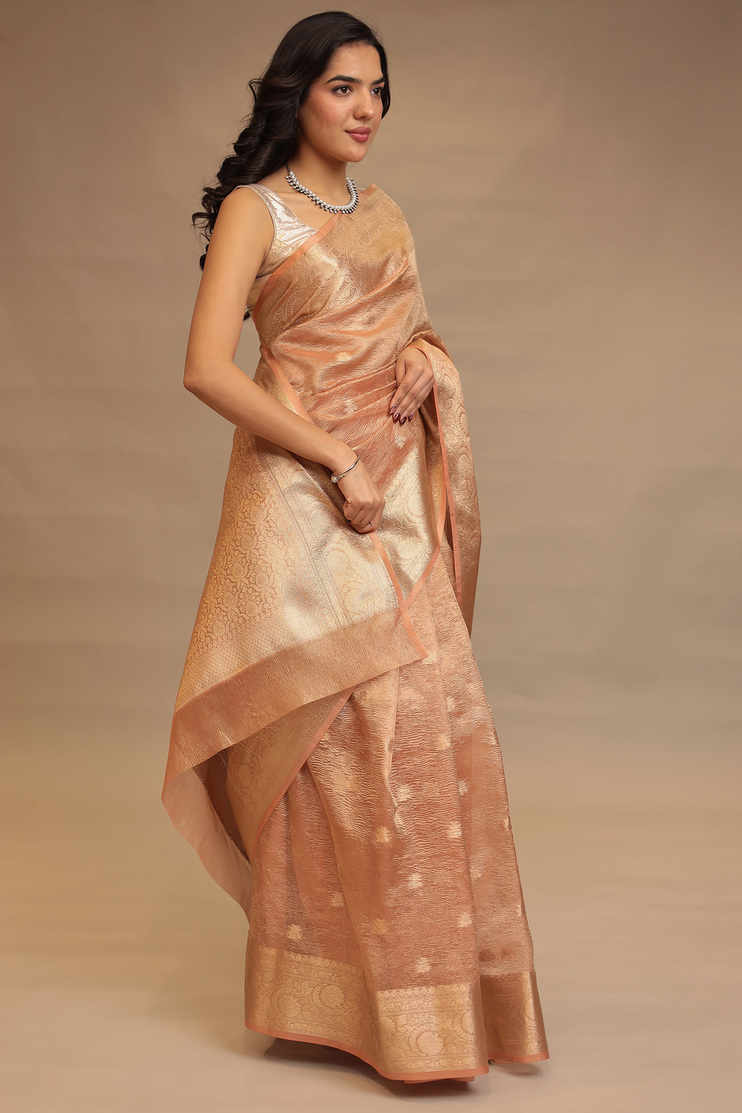 Banarasi Tissue Saree