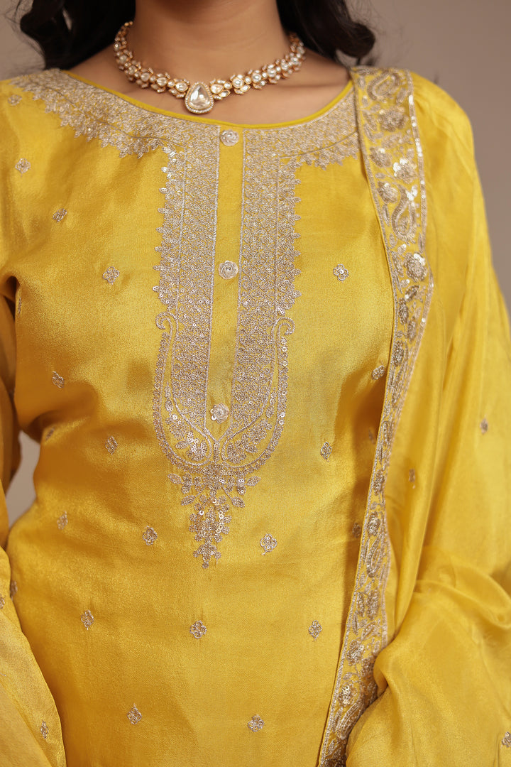 Tissue shimmer silk Suit with Aari, Sequins work