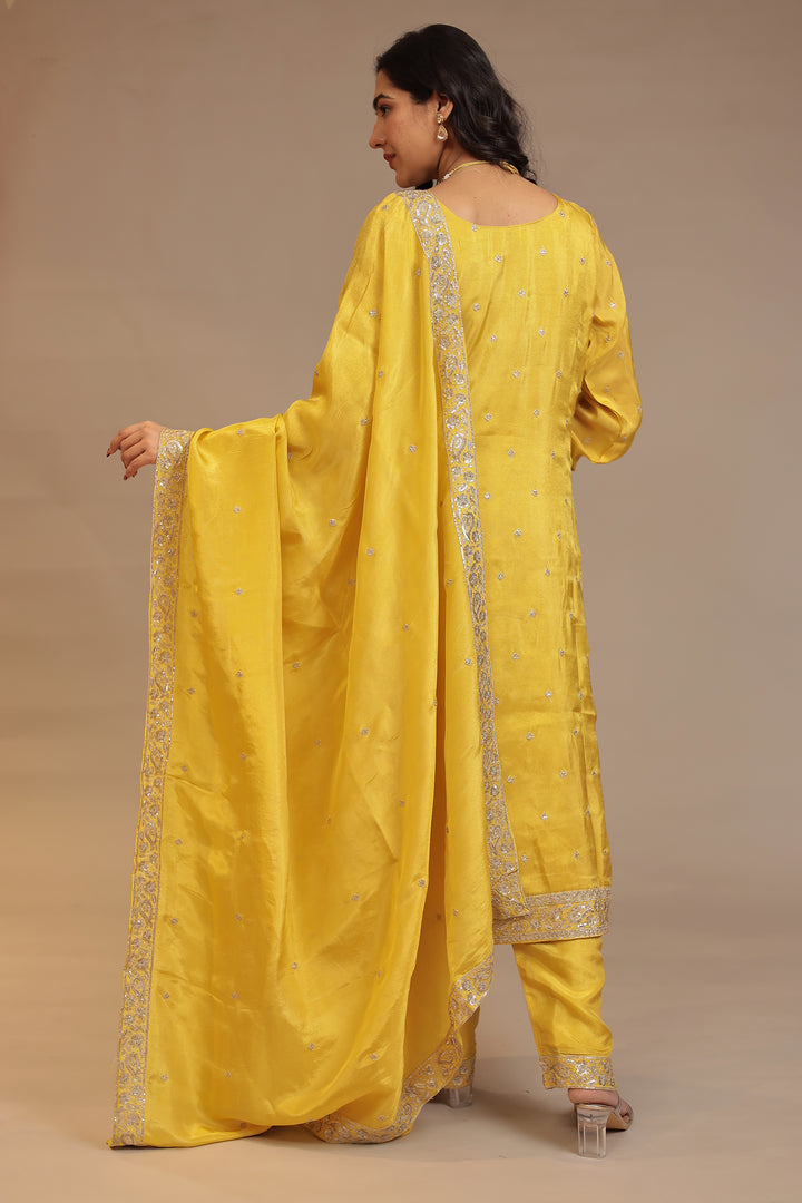 Tissue shimmer silk Suit with Aari, Sequins work