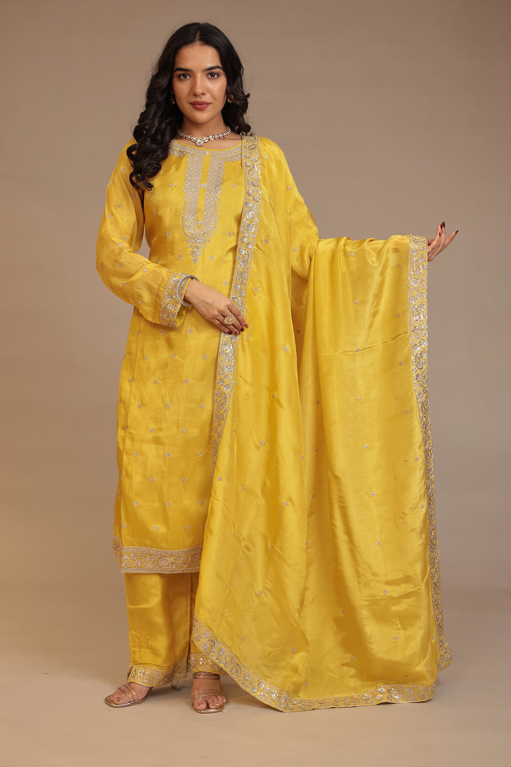 Tissue shimmer silk Suit with Aari, Sequins work