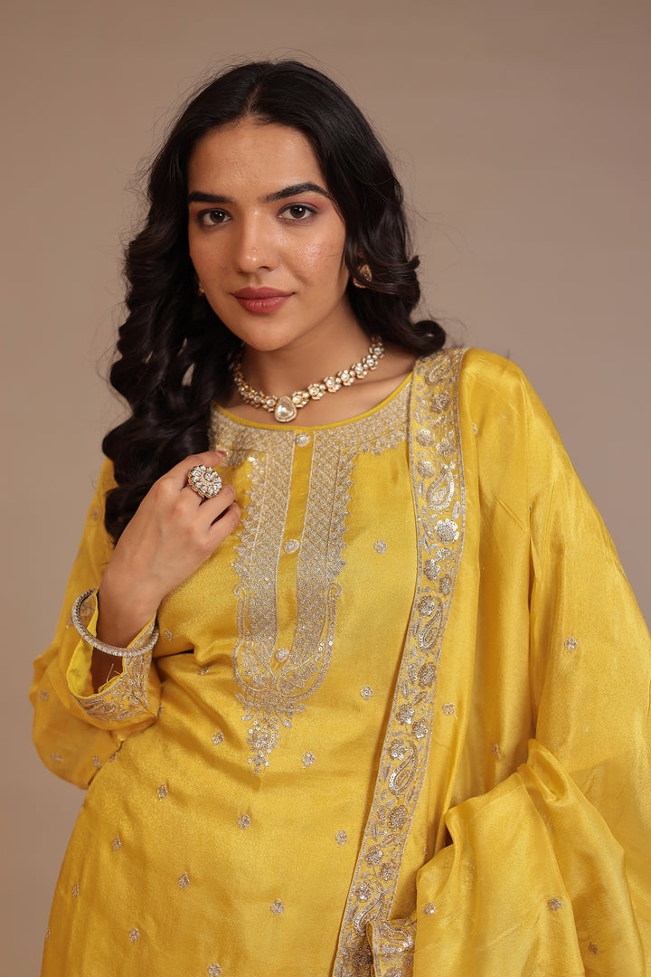 Tissue shimmer silk Suit with Aari, Sequins work