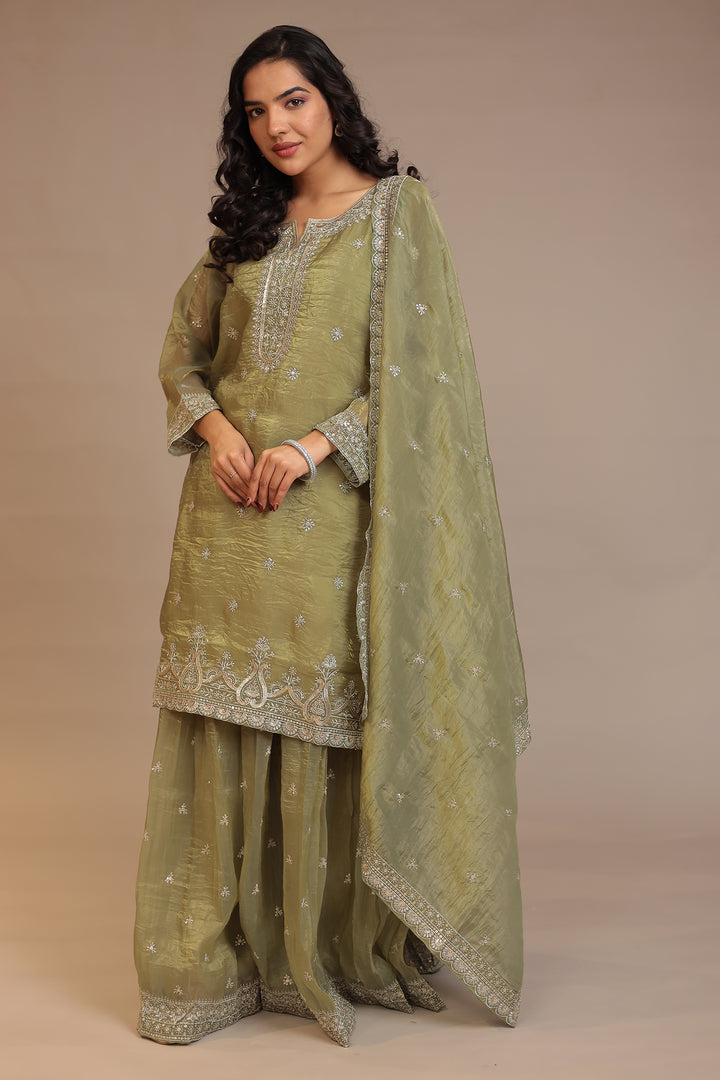 Organza Suit with Aari, Sequins work