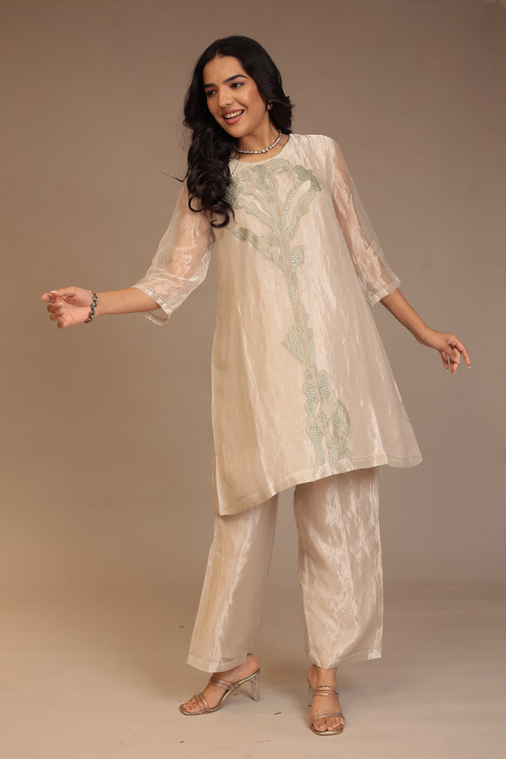 Tissue Kurta with Pearl, Thread work.