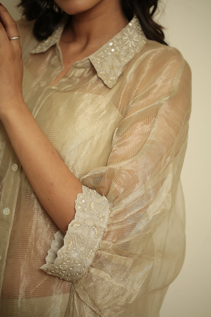 tissue Indowestern with Pearl, Sequins, Thread work.