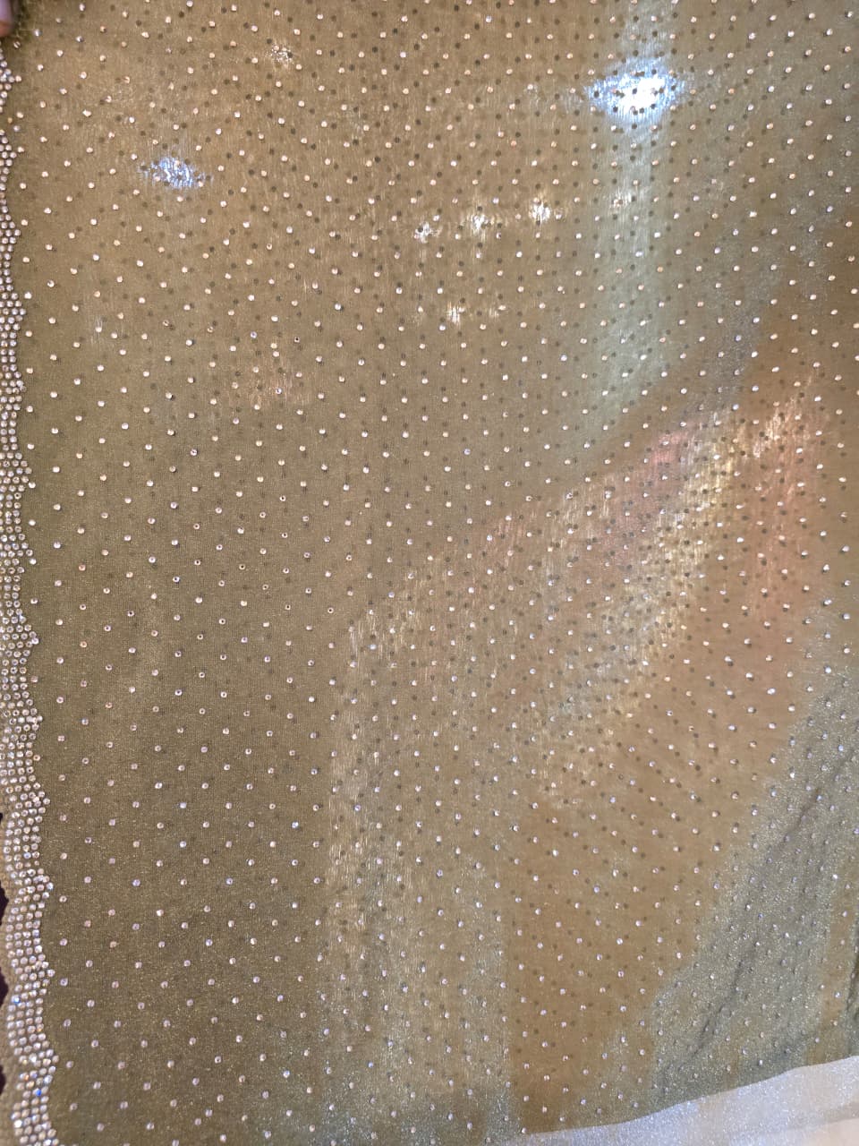 Organza Saree with Swarovski work.