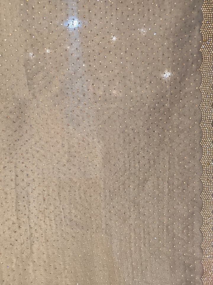 Organza Saree with Swarovski work.