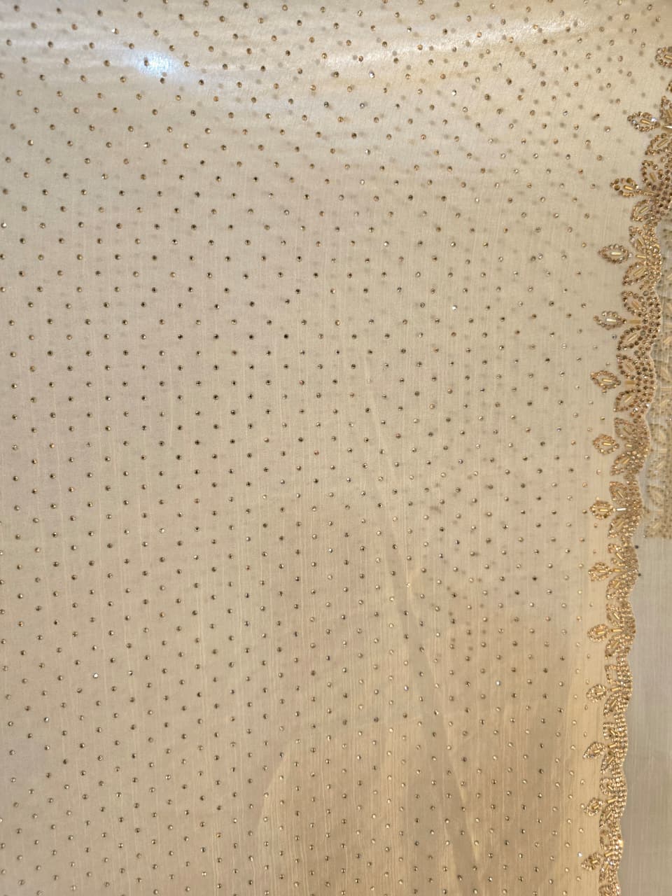 Chiffon Saree with Cutdana, Stone work.