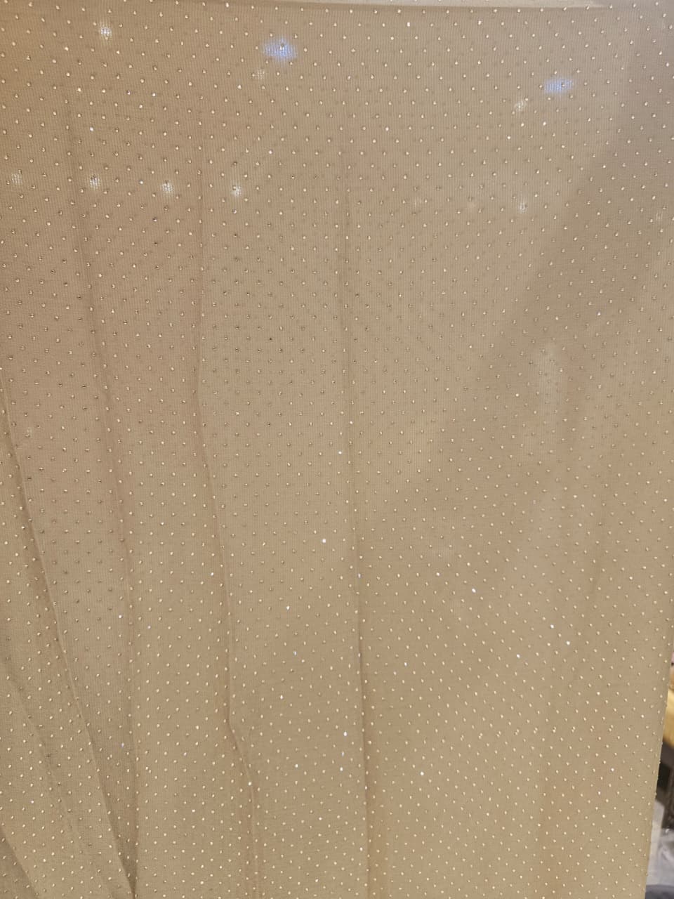 Georgette Saree with Stone work.