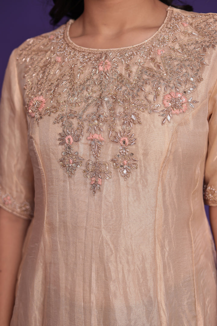 Anarkali Tissue Suit with Dori, Gota Patti and Zardozi work