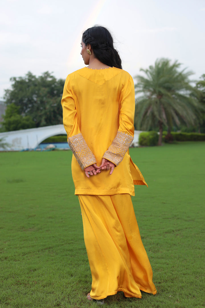 Satin Silk Indowestern with Dori and Sequins work