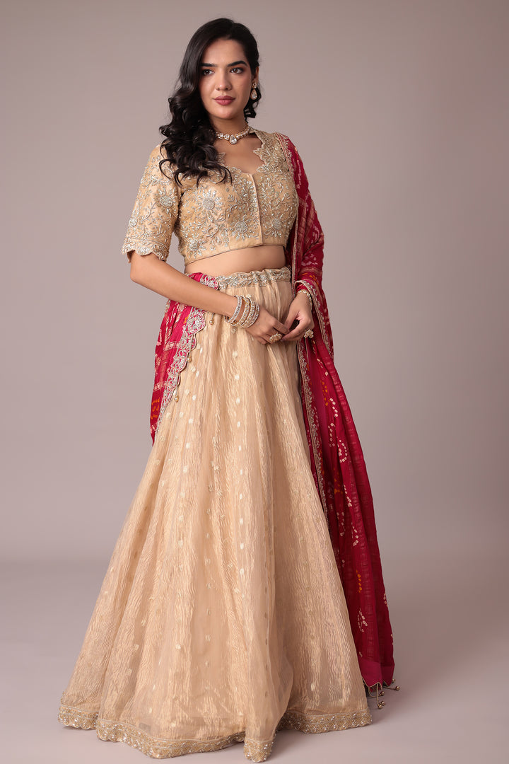 Handloom Bandhej Shimmer Tissue Lehenga with Sequins and Zardozi work