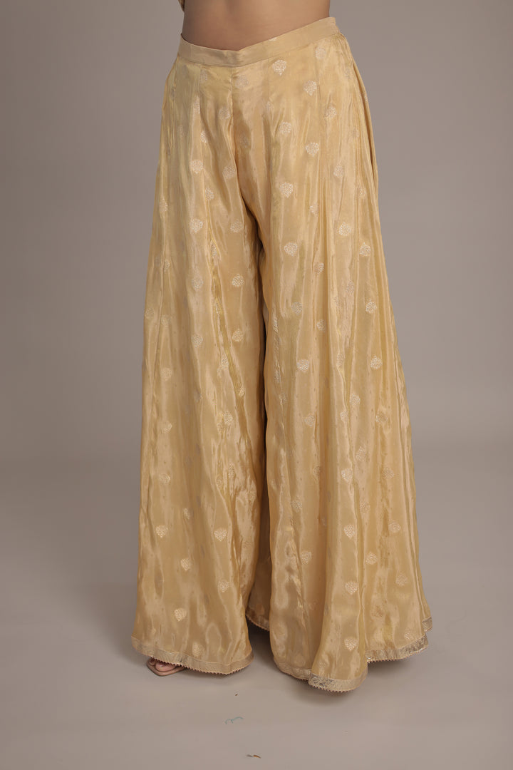 Shimmer Tissue Suit Embroidered with Dori, Gota Patti and Zardozi work