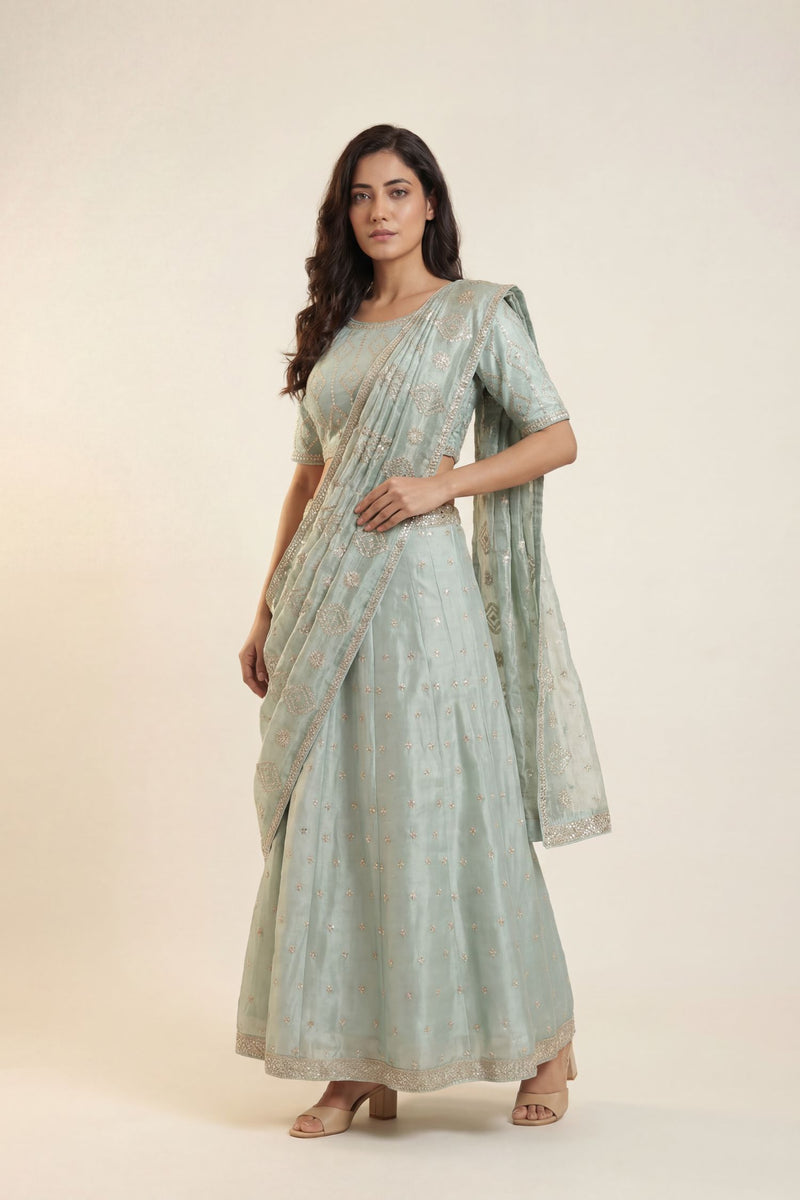 Tissue organza Lehenga with Dori, Gota Patti, Pearl work.