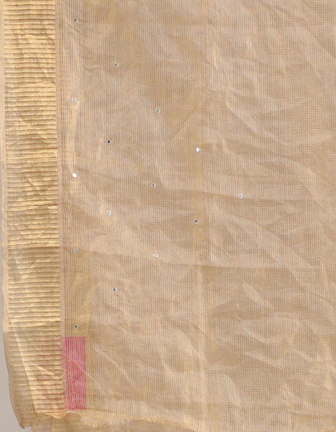 Gold Tissue Saree  with Aari and Gota Patti work