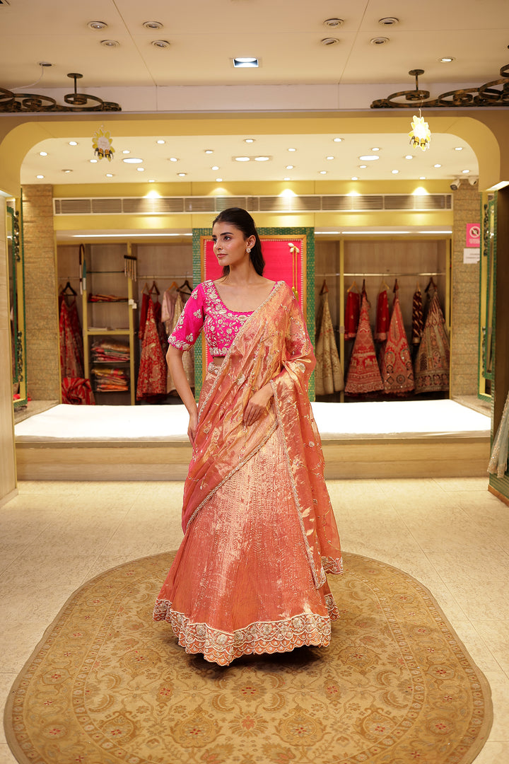 Tissue silk Lehenga with Aari, Zardozi, Zari work
