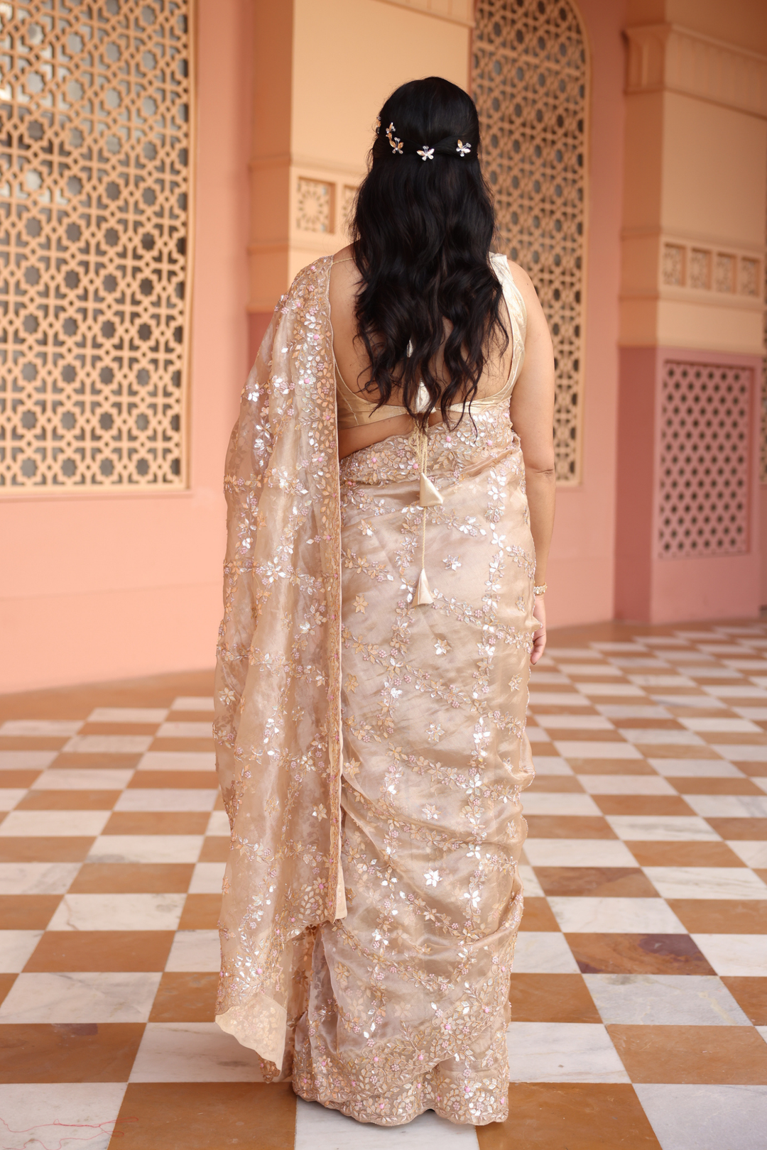 Tissue Saree  with Gota Patti, Thread, Zardozi work.